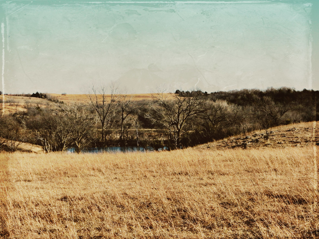 Flint Hills Landscape by mcsiegle