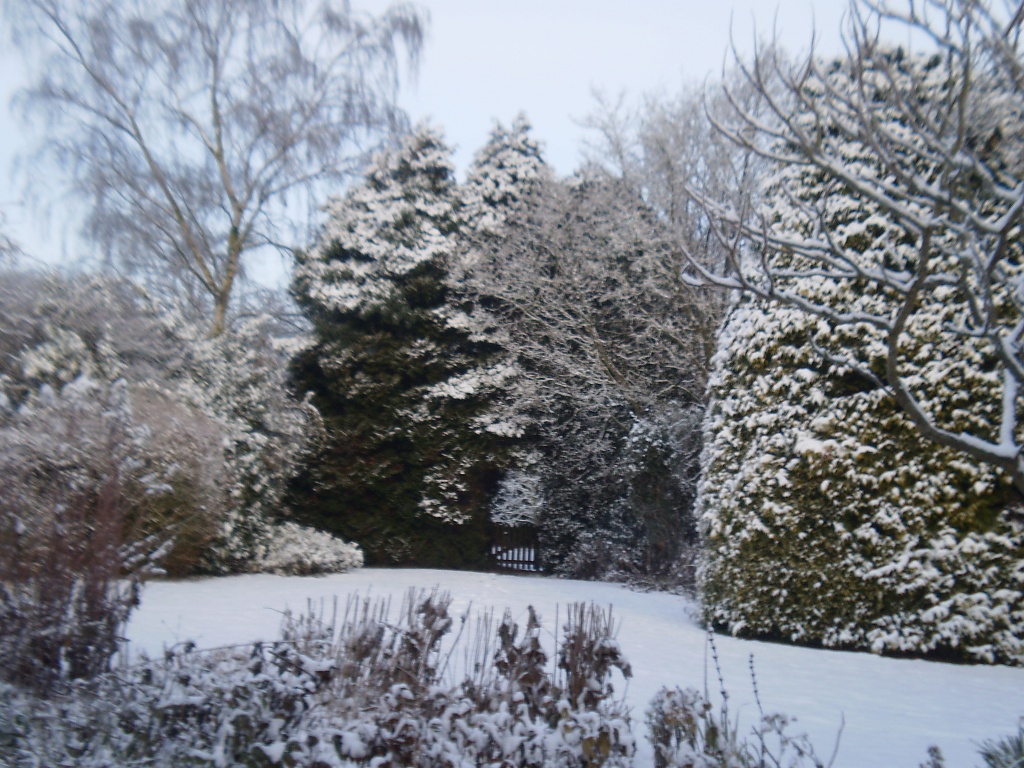 Winter Garden. by snowy