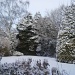 Winter Garden. by snowy