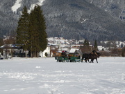 28th Dec 2016 - Winter in Austria