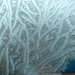 Frost - amazing patterns by cpw