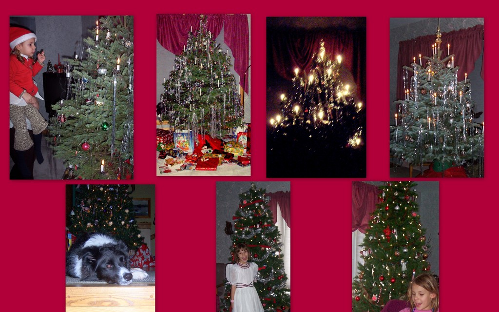 Christmas trees 2002 to 2008 by bruni