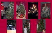 29th Dec 2016 - Christmas trees 2002 to 2008