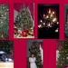 Christmas trees 2002 to 2008 by bruni
