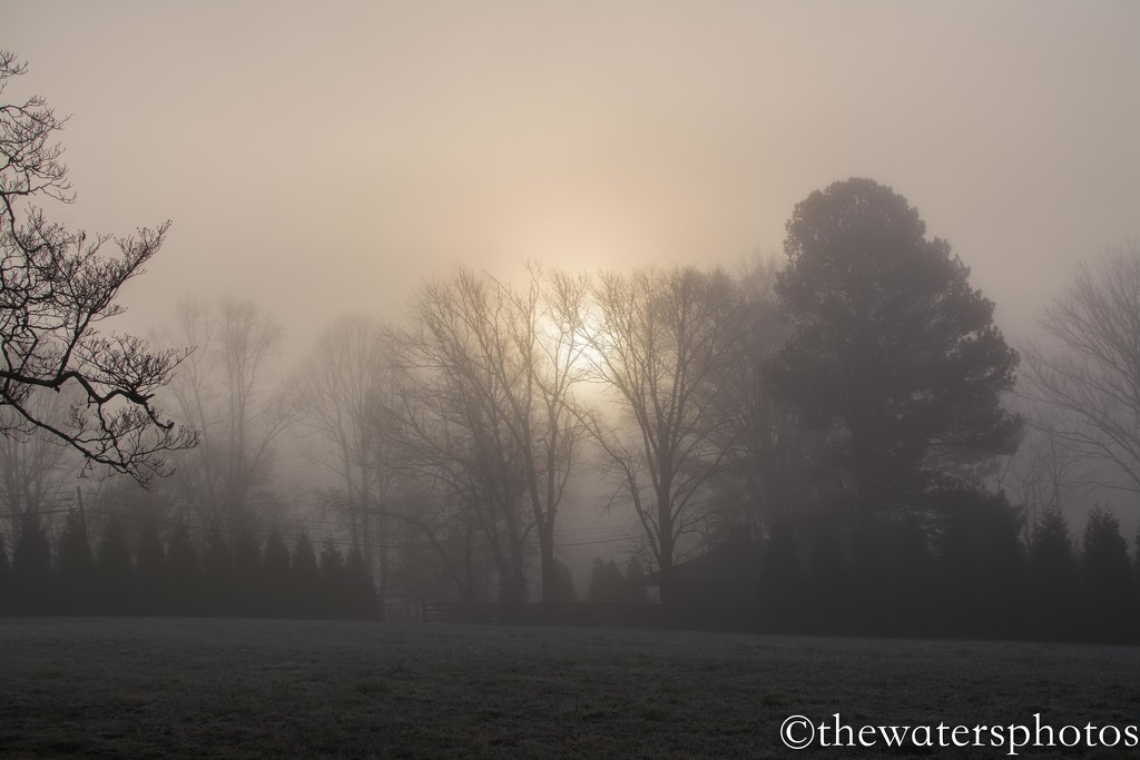 Sunrise in the fog by thewatersphotos