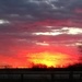 Vibrant Sunset  by scoobylou