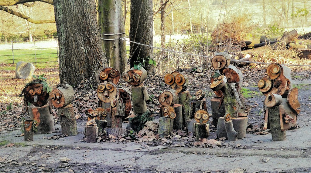 "The forest people " by beryl