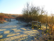 29th Dec 2016 - Frost in the morning sun.