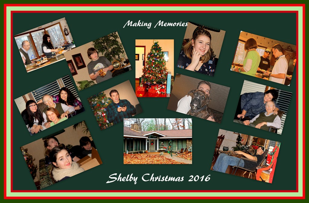 Shelby Christmas 2016 by vernabeth