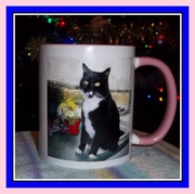 29th Dec 2016 - Arthur's special mug.