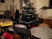 17th Dec 2016 - Christmas tree onstage