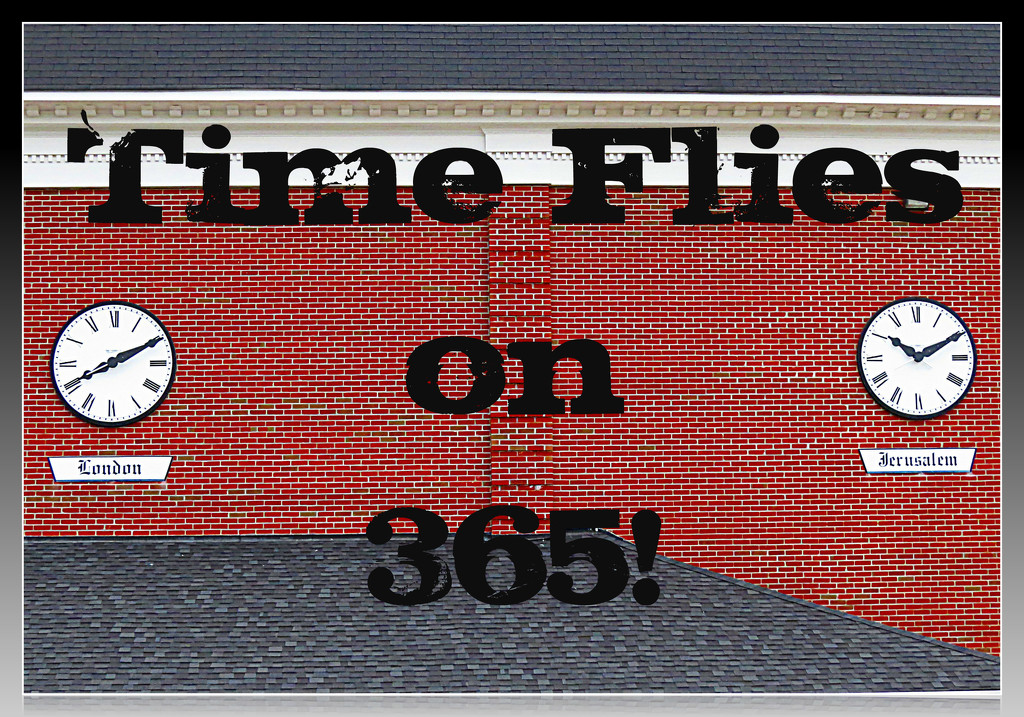 Time Flies on 365! by olivetreeann