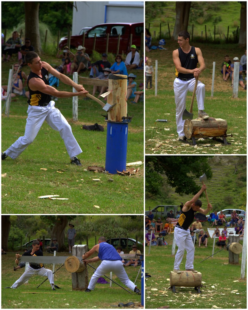 Wood chopping by dide