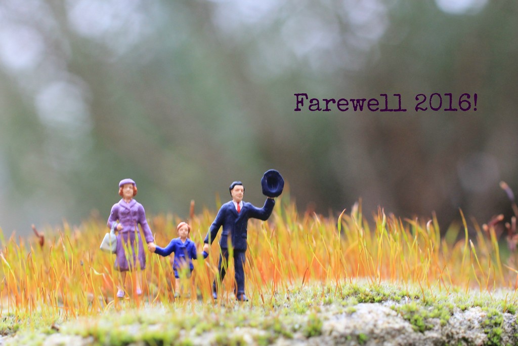 Farewell 2016! by jamibann