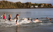 1st Jan 2017 - Aberdour "Loony Dook" - Cold!