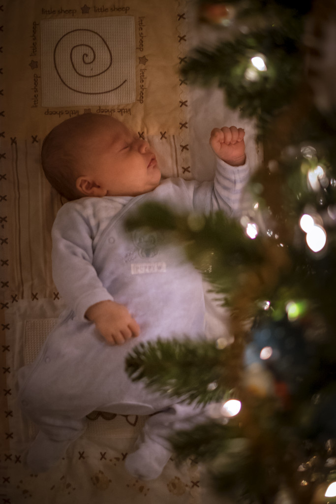 Day 361, Year 4 - Boxing Day Baby by stevecameras