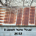 Happy New Year! I'm Rusty!! by ckwiseman