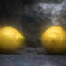 Lemons by yaorenliu