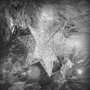 28th Dec 2016 - Christmas Stars