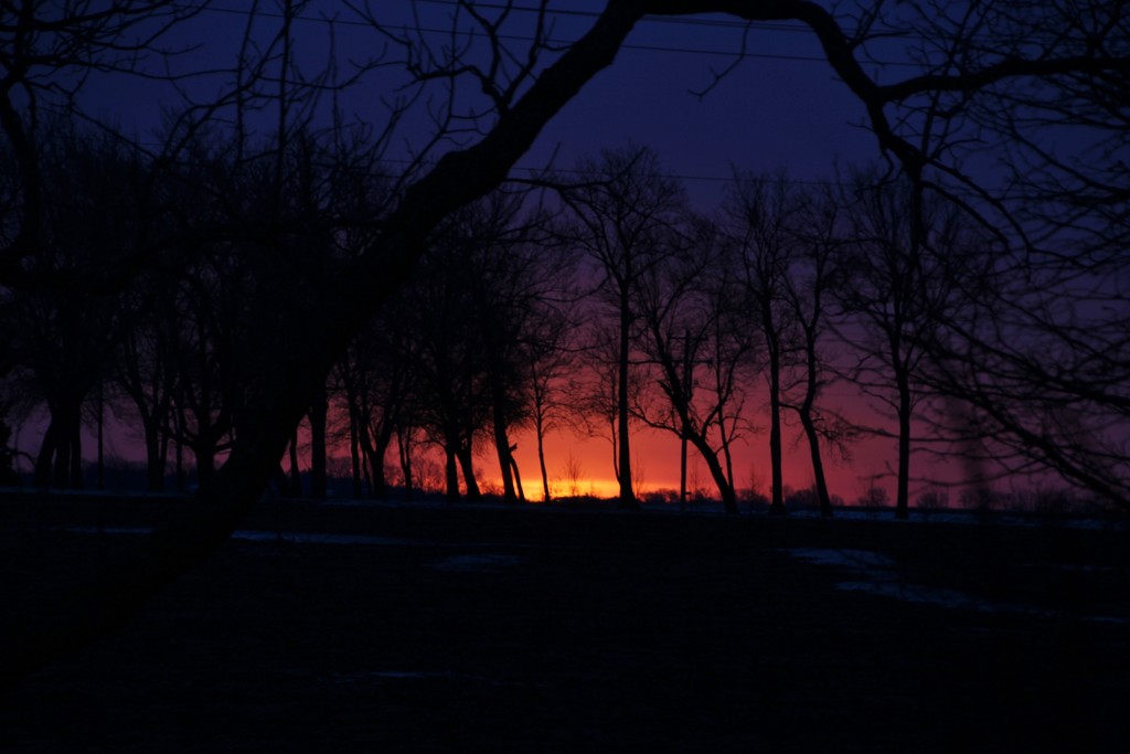 Fiery Sunrise by bjchipman