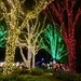Busch Gardens - Christmas Town by mimiducky