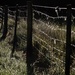Fence by dkbarnett