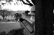 30th Oct 2016 - Your Friendly Neighborhood Storm Trooper