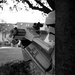 Your Friendly Neighborhood Storm Trooper by kerosene