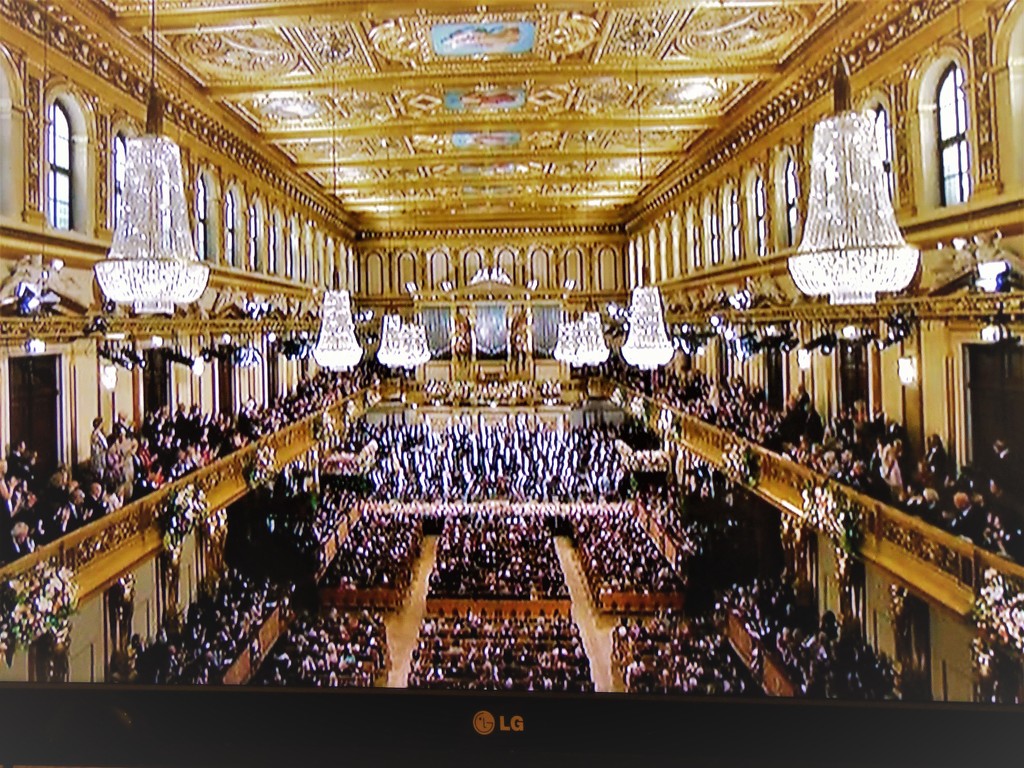 Concert Hall Vienna  by beryl
