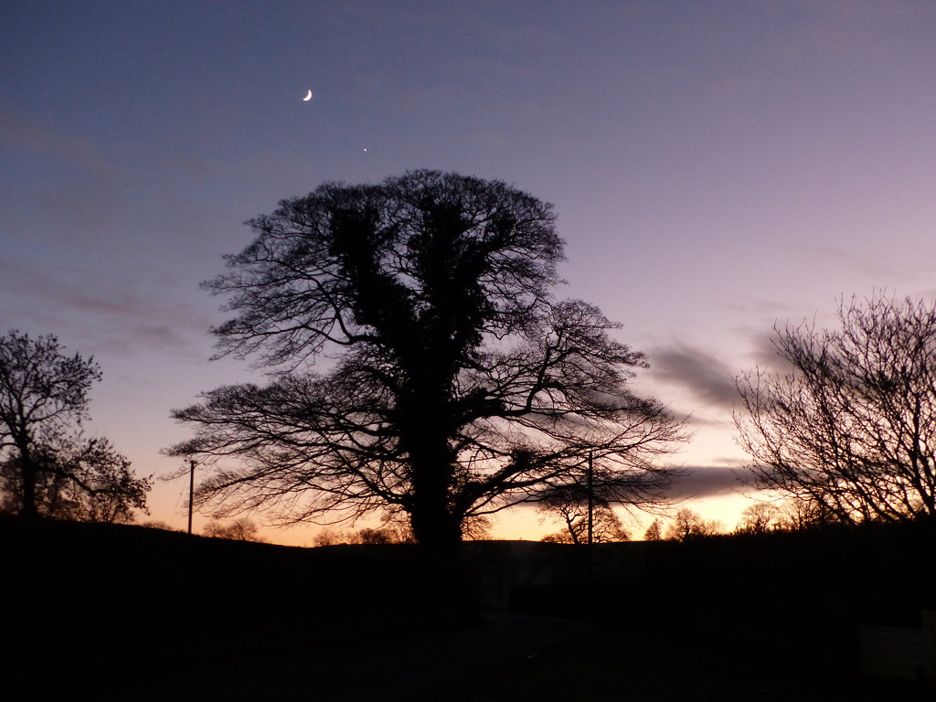 New Moon and Venus  by shirleybankfarm