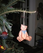 17th Dec 2010 - Hello Mr. Bear