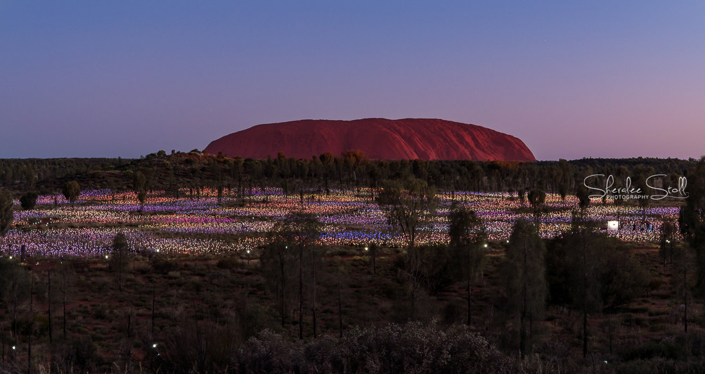 Uluru/Ayers Rock and the Field of Light by bella_ss