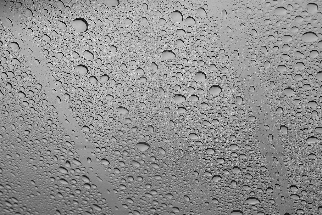 Rain on the windshield by homeschoolmom
