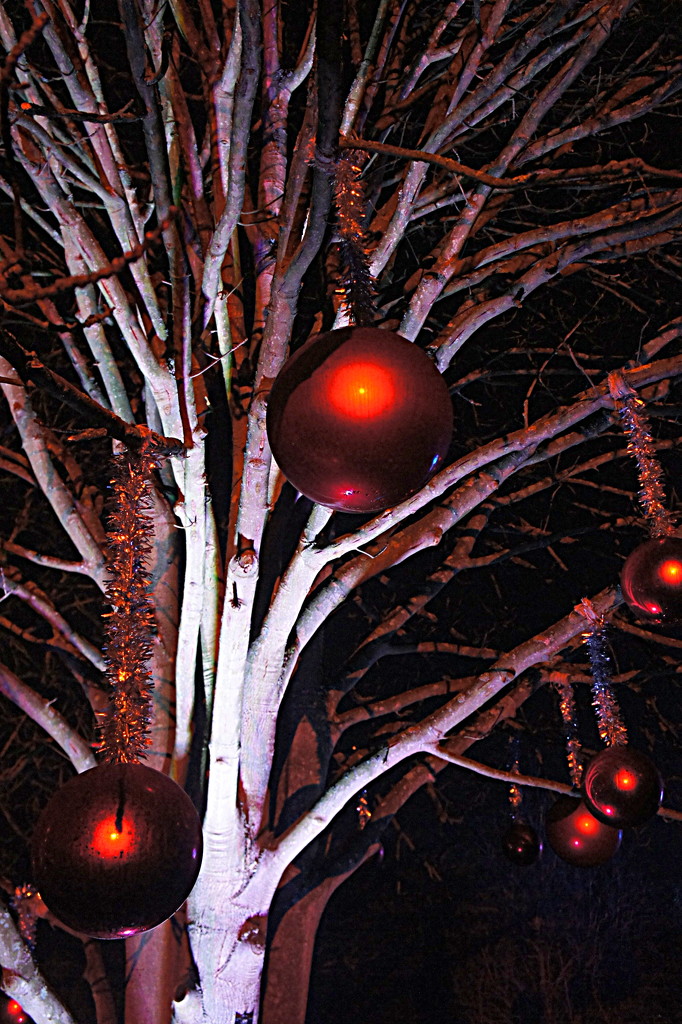 Red baubles by boxplayer