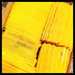 Bright Yellow Envelopes II by yogiw