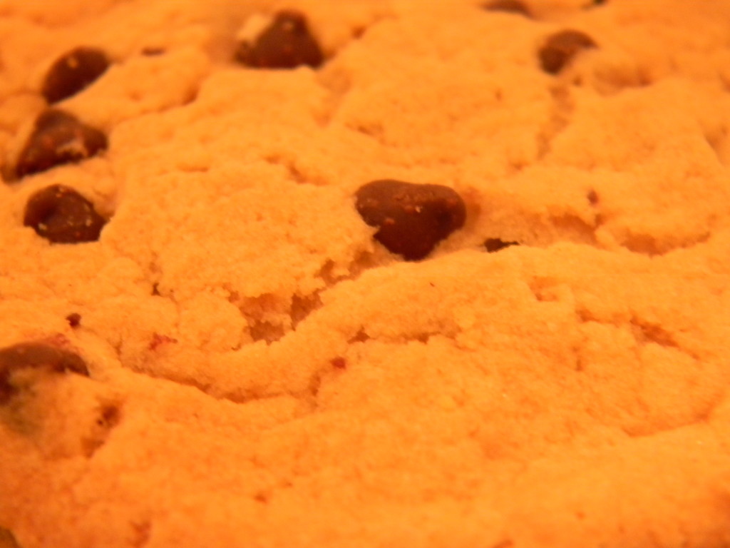 Closeup of Chocolate Chip Cookie by sfeldphotos