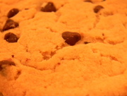 3rd Jan 2017 - Closeup of Chocolate Chip Cookie