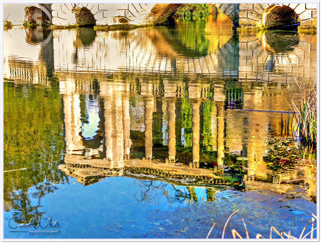 Reflection Of The Palladian Bridge, Stowe Gardens by carolmw