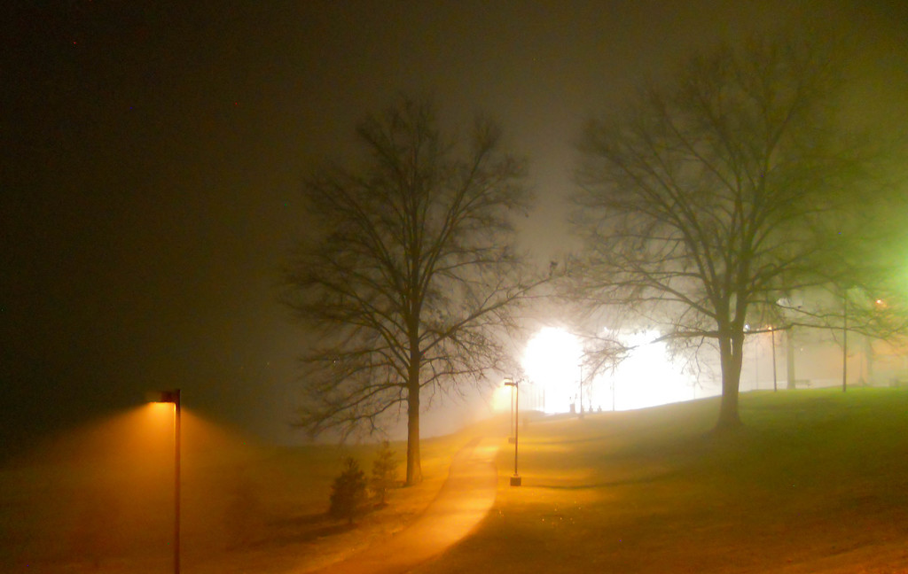 Foggy night by mittens