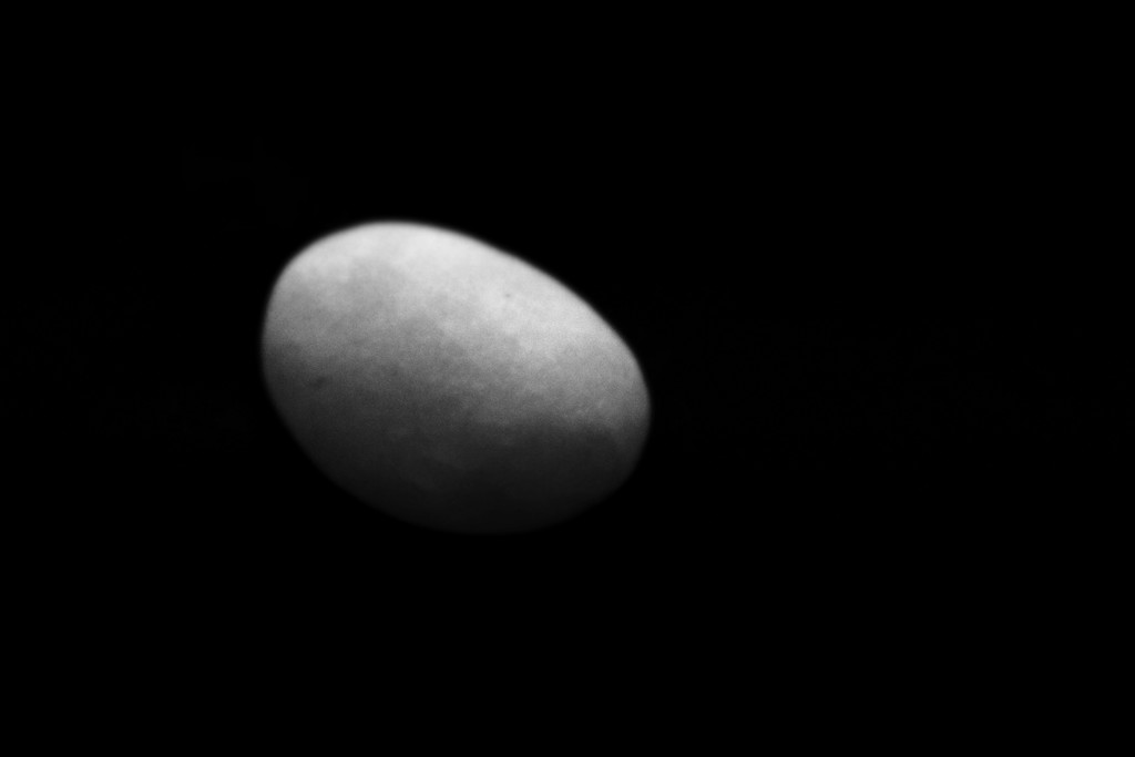Phobos by juliedduncan