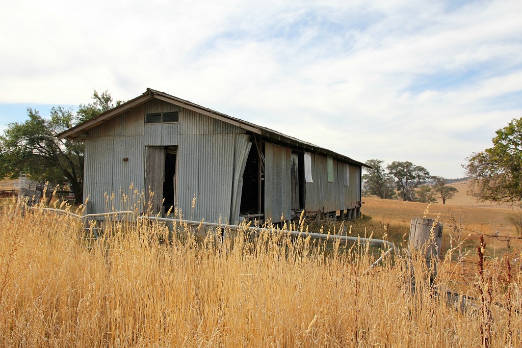 Old farm shed by leggzy