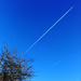 Blue sky by ianmetcalfe