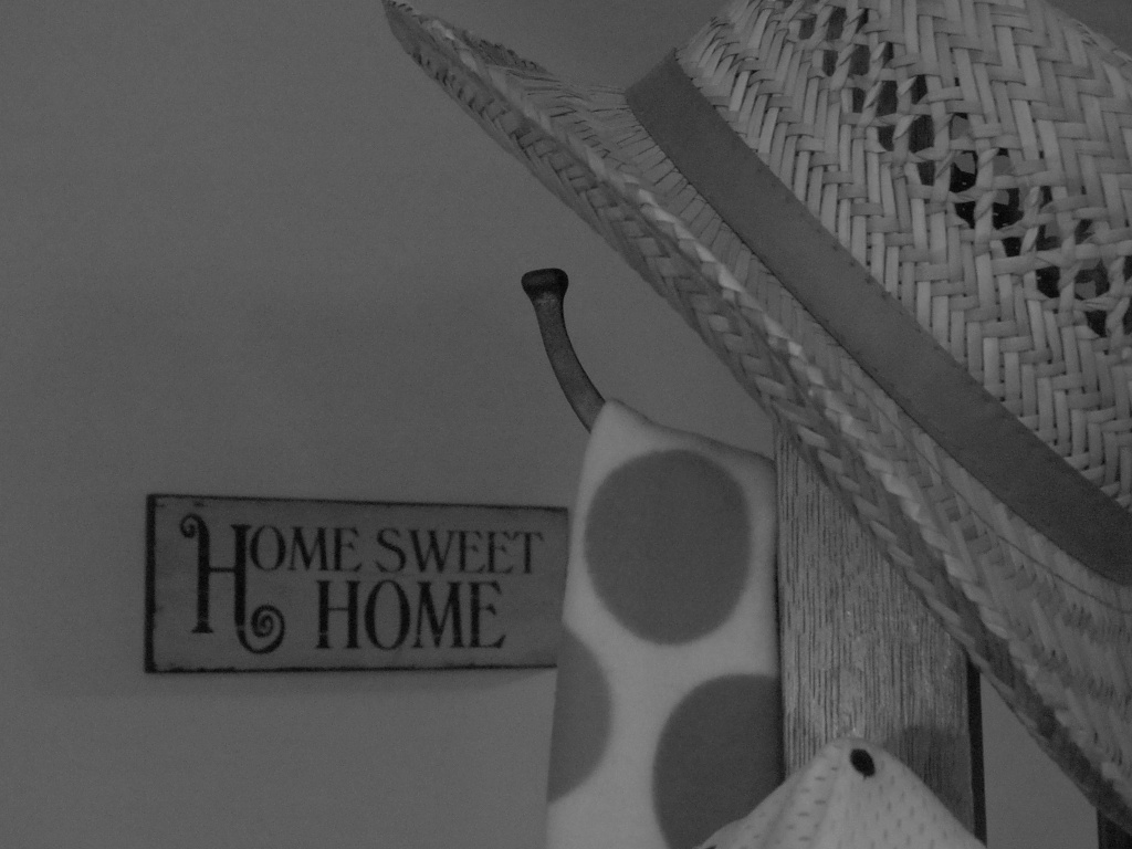 Home Sweet Home by juletee