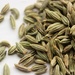 Fennel Seeds by cookingkaren