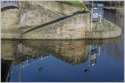 5th Jan 2017 - Towpath Reflections