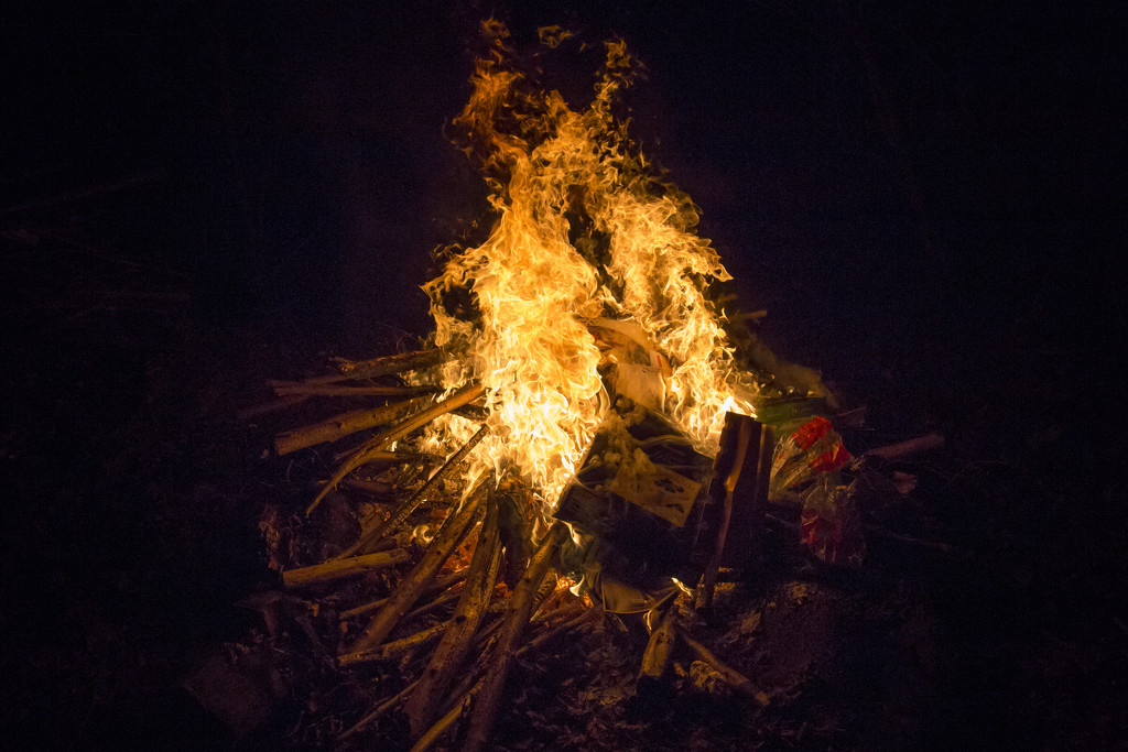 Day 362, Year 4 - Forest Fire by stevecameras