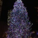 Still Christmas in Chicago by graceratliff