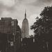 ESB by fauxtography365