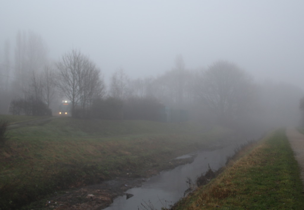 Misty River by oldjosh