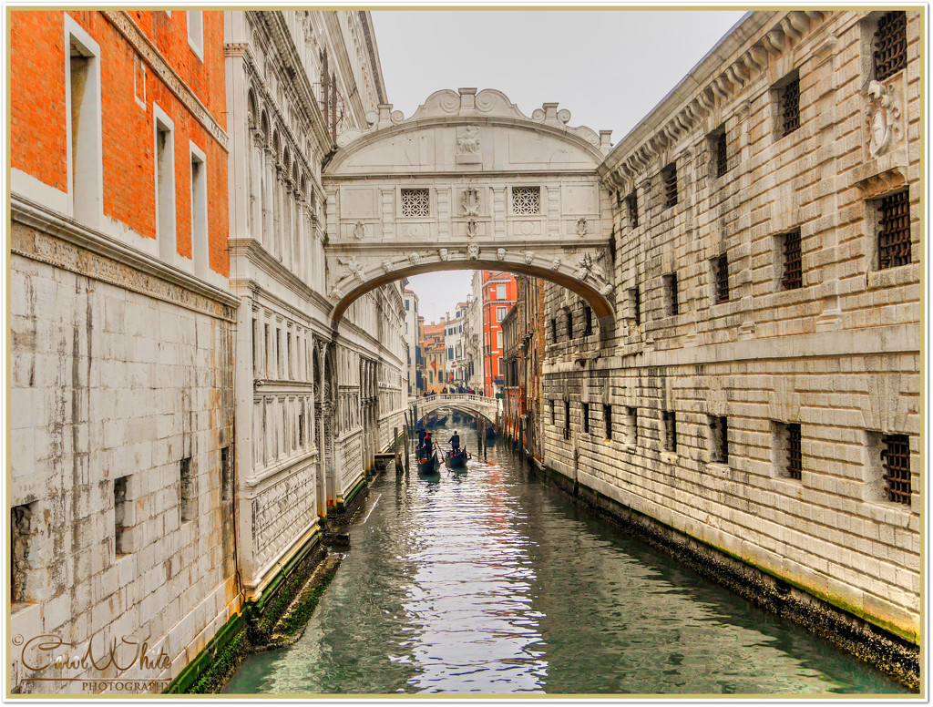 Bridge Of Sighs, Venice by carolmw